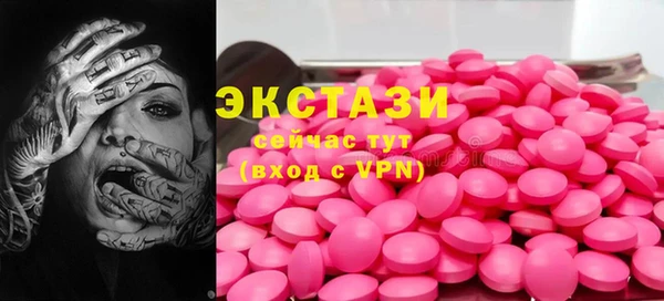 круглые Гусев