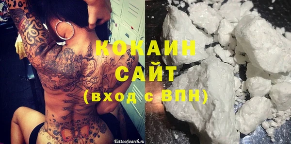 круглые Гусев
