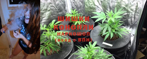 мескалин Гусиноозёрск