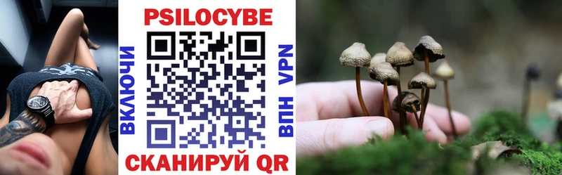 Псилоцибиновые грибы GOLDEN TEACHER  Купить закладки  Кудрово 