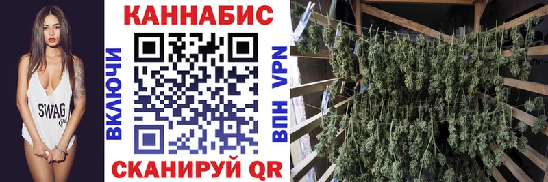 Купить  Кудрово  Канабис план 